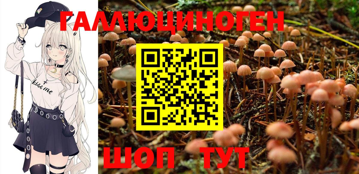 Галлюциногенные грибы Magic Shrooms Новозыбков