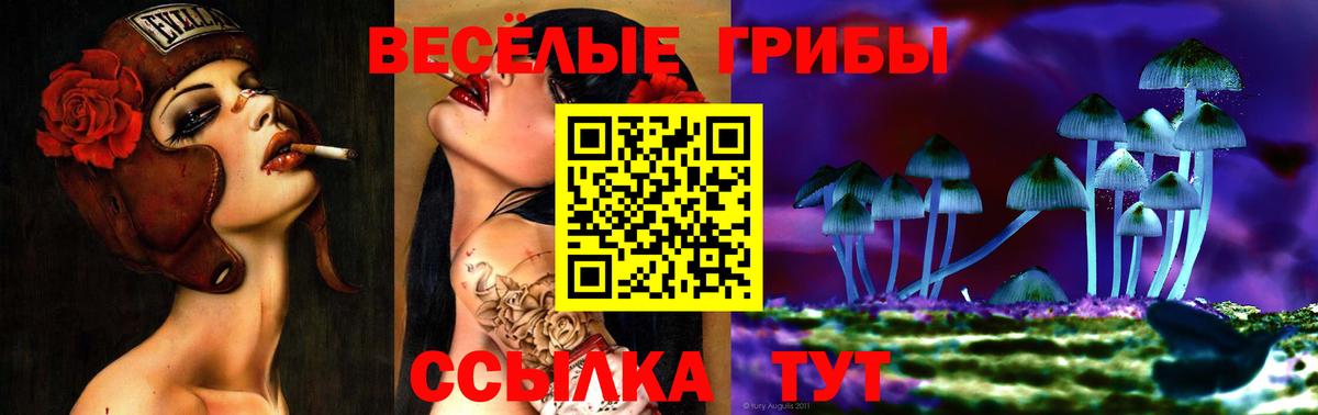 Псилоцибиновые грибы прущие грибы  Вход с VPN  Новозыбков 